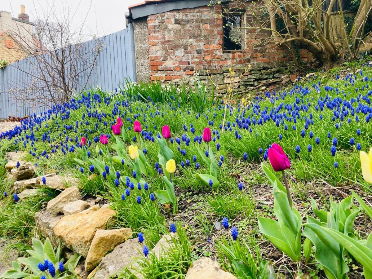 Cosy Cottage Four Miles From Lincoln City Centre Extérieur photo